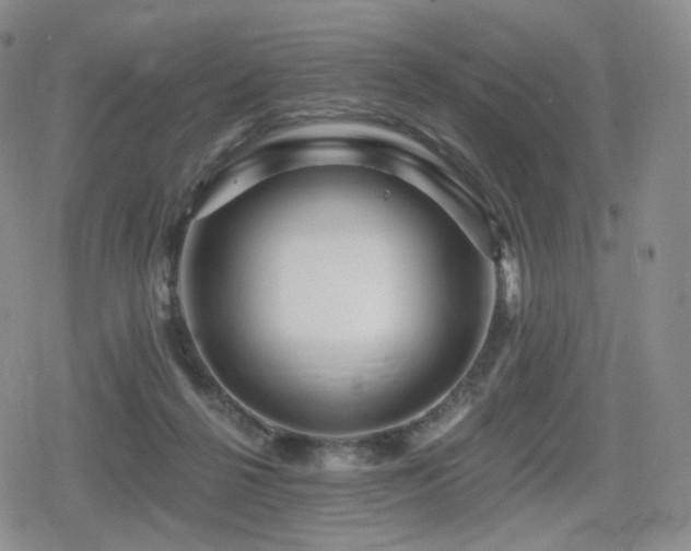 X0000080100264200612081209