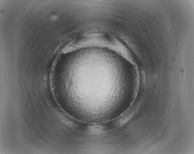 X0000080100269200612081209