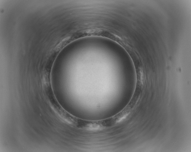 X0000080100272200612081209