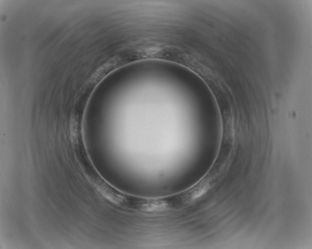 X0000080100274200612081209