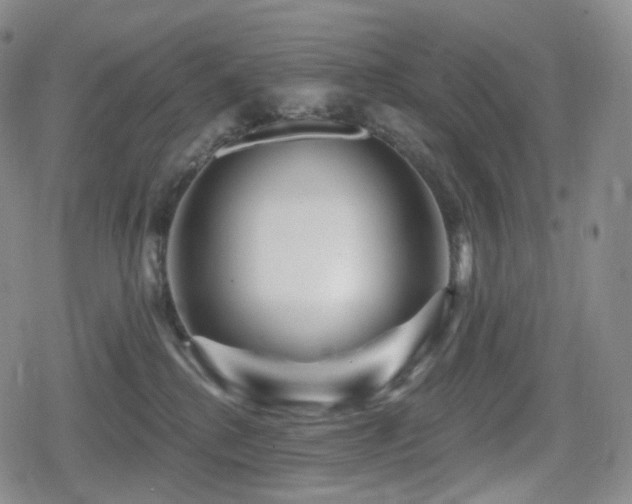 X0000080100280200612081209