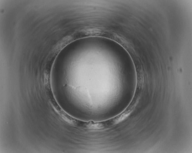 X0000080100281200612081210
