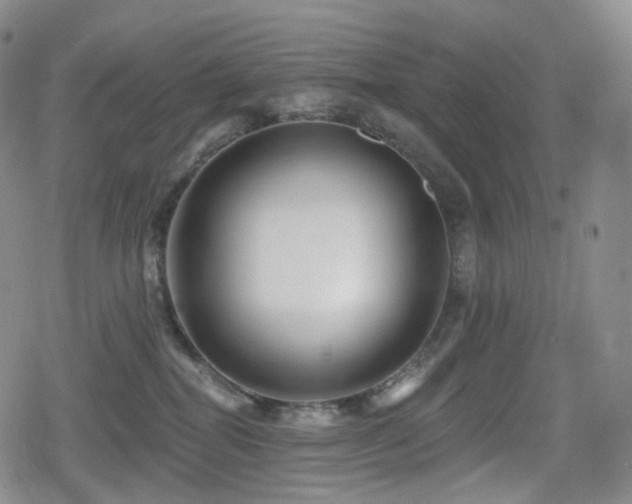 X0000080100282200612081210