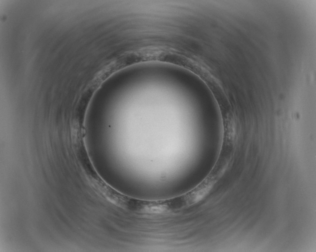 X0000080100283200612081210