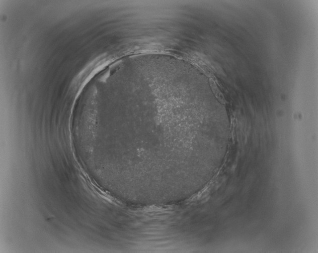 X0000080100290200612081209