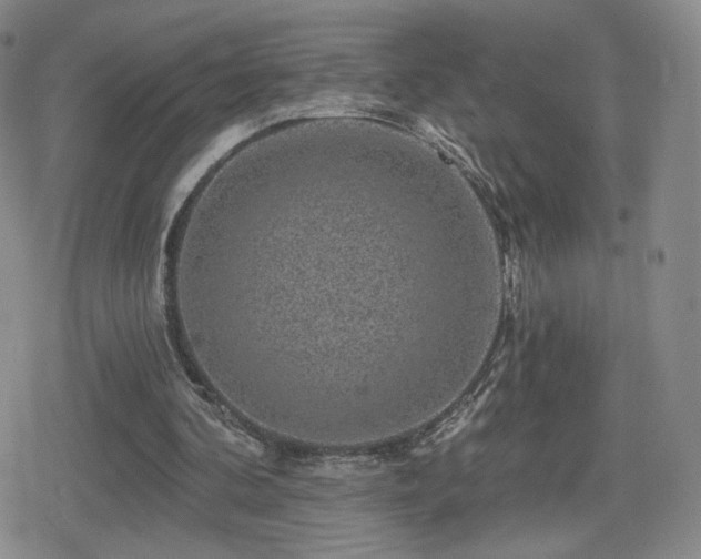 X0000080100292200612081209