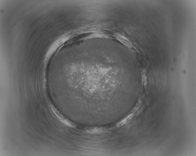 X0000080100293200612081209