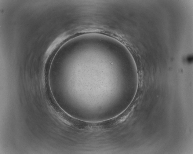 X0000080100296200612081209