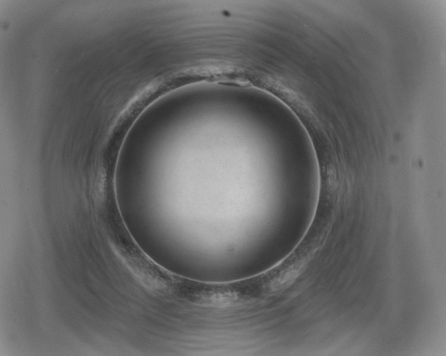 X0000080100304200612081209