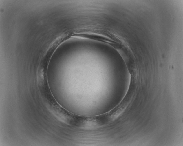 X0000080100308200612081209
