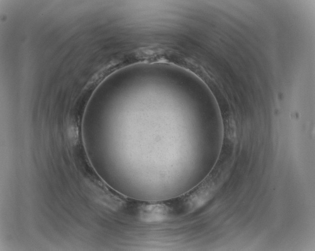 X0000080100324200612081208