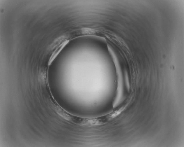 X0000080100329200612081208