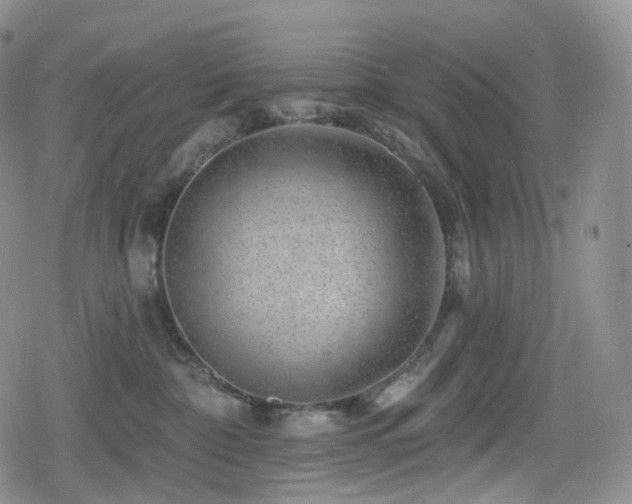 X0000080100332200612081208