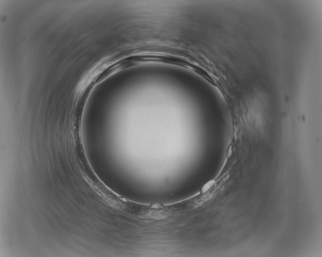 X0000080100341200612081207