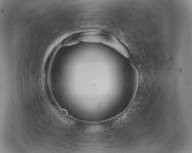 X0000080100342200612081207