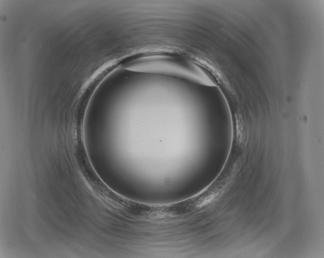 X0000080100348200612081207