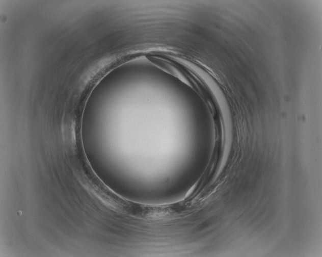 X0000080100350200612081208