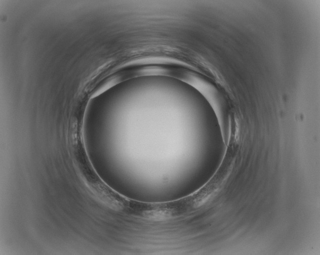 X0000080100356200612081208