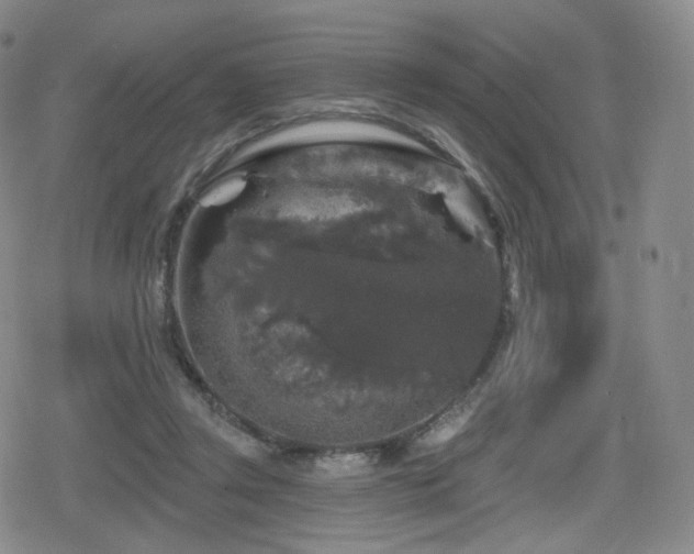 X0000080100357200612081208