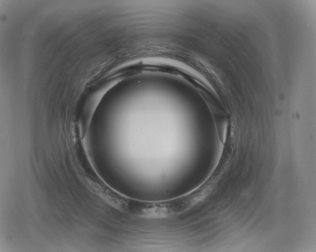 X0000080100362200612081208