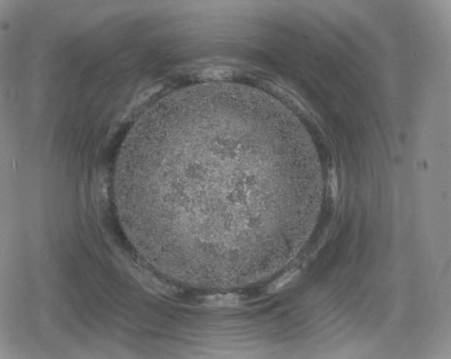 X0000080100363200612081208