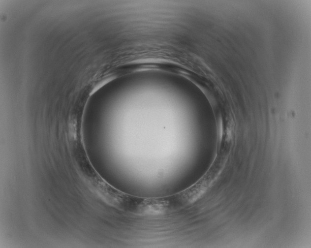 X0000080100368200612081208