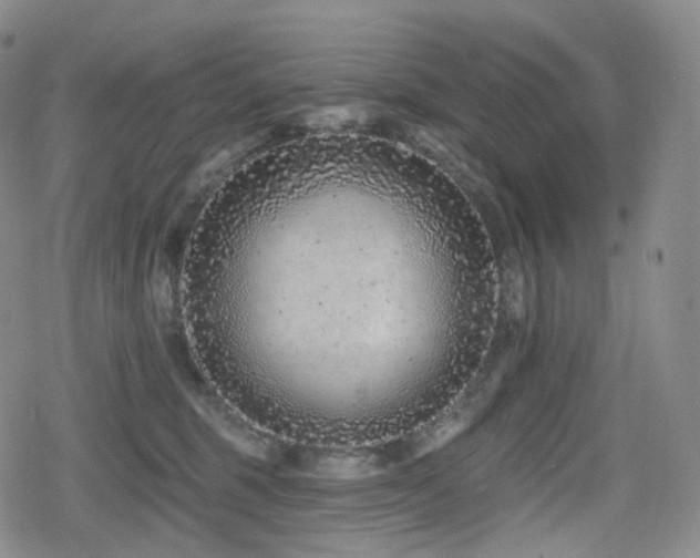 X0000080100375200612081208