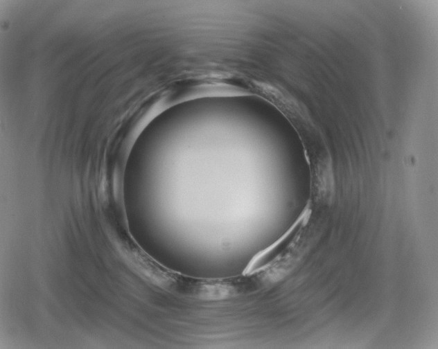 X0000080100376200612081208