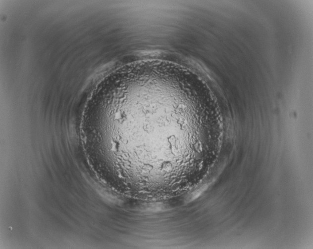 X0000080100377200612081208