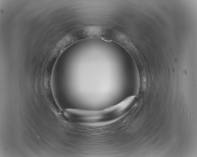 X0000080100379200612081208