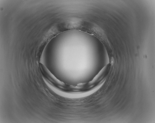 X0000080100380200612081208