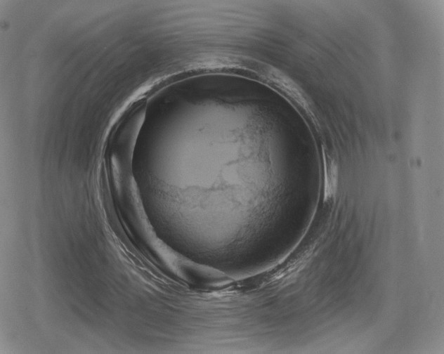 X0000080100387200612081207