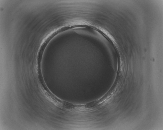 X0000080100391200612081207