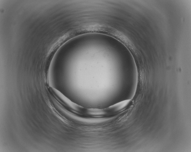 X0000080100397200612081207