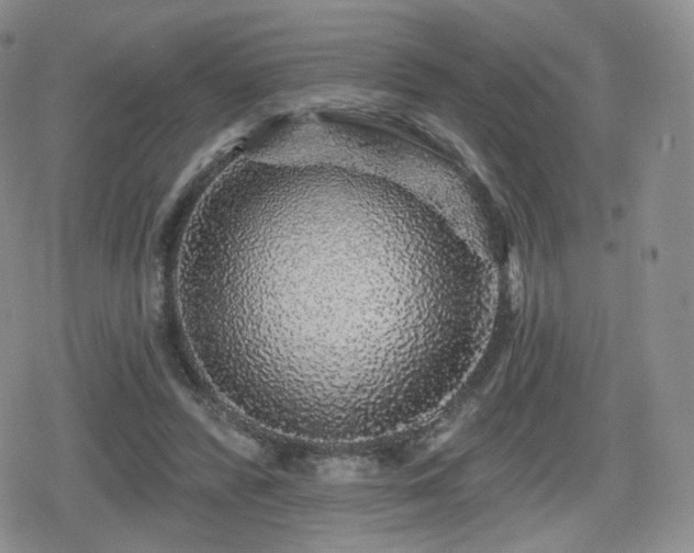X0000080100400200612081207