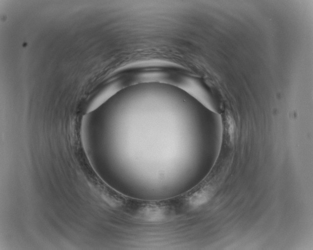 X0000080100416200612081207