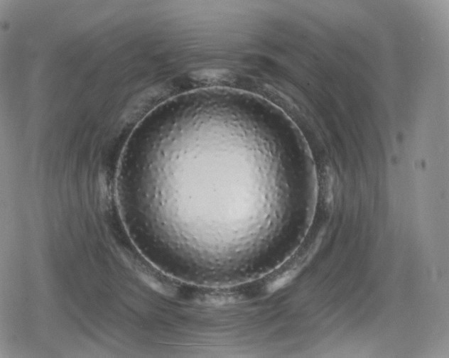 X0000080100420200612081207