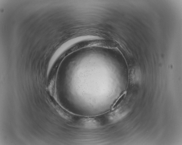 X0000080100424200612081207