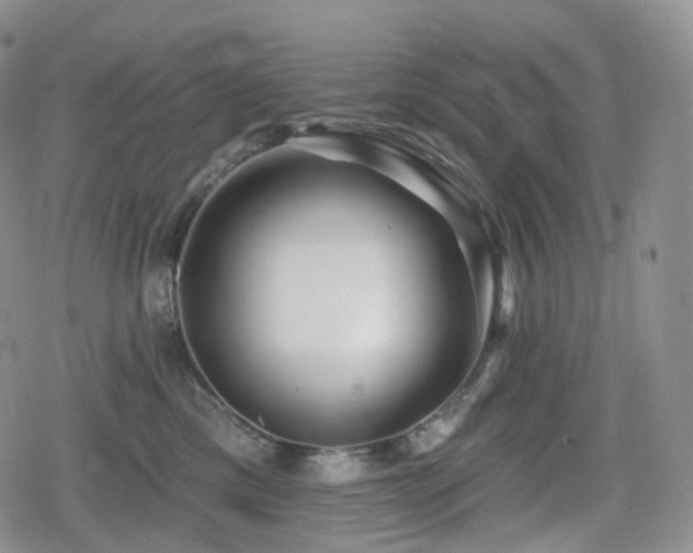 X0000080100425200612081207