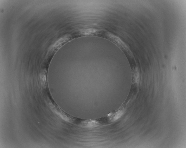 X0000080100427200612081207