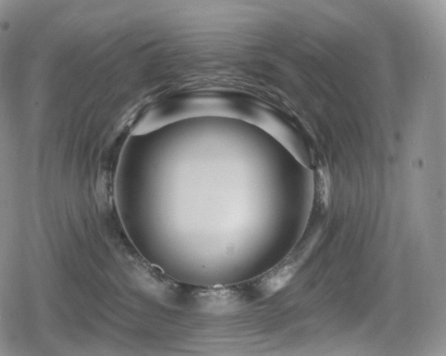 X0000080100428200612081207