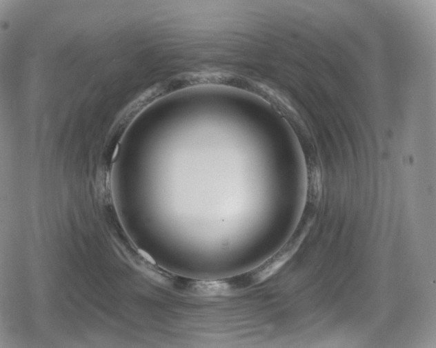 X0000080100429200612081207