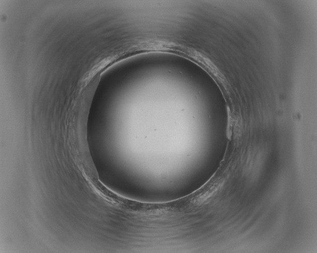 X0000080100433200612081206