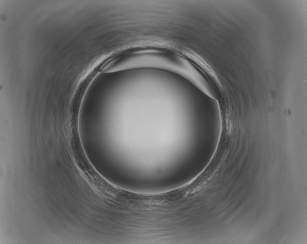 X0000080100436200612081206