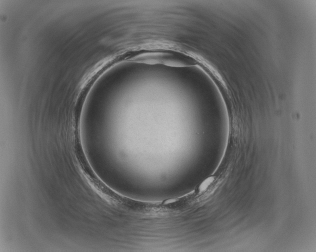 X0000080100437200612081206
