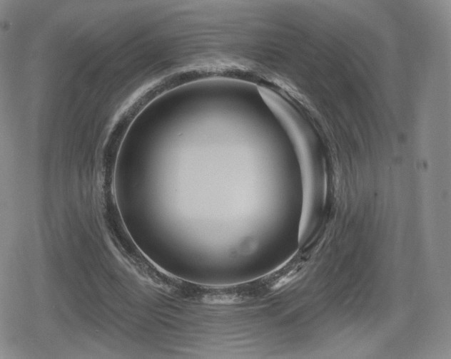 X0000080100440200612081206