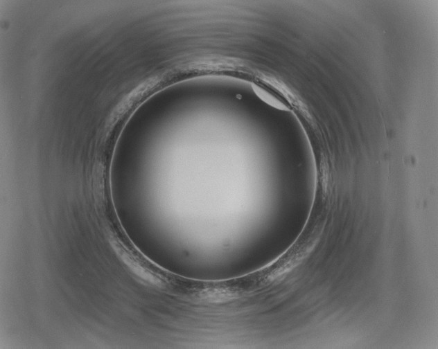 X0000080100445200612081206