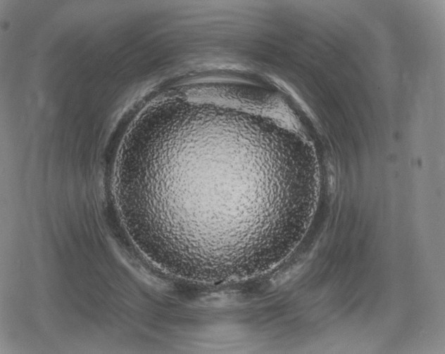 X0000080100447200612081206