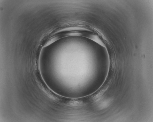 X0000080100453200612081206