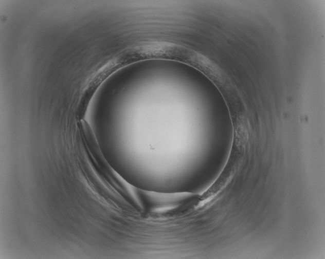 X0000080100454200612081206